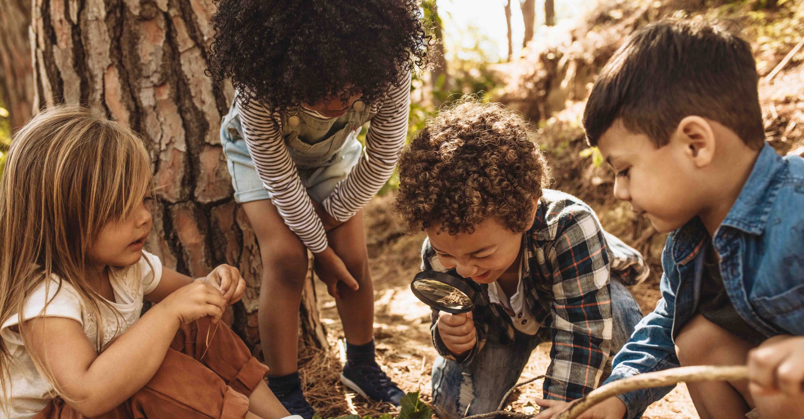 Four diverse young children exploring the forest together and observing leaves with a magnifying glass.